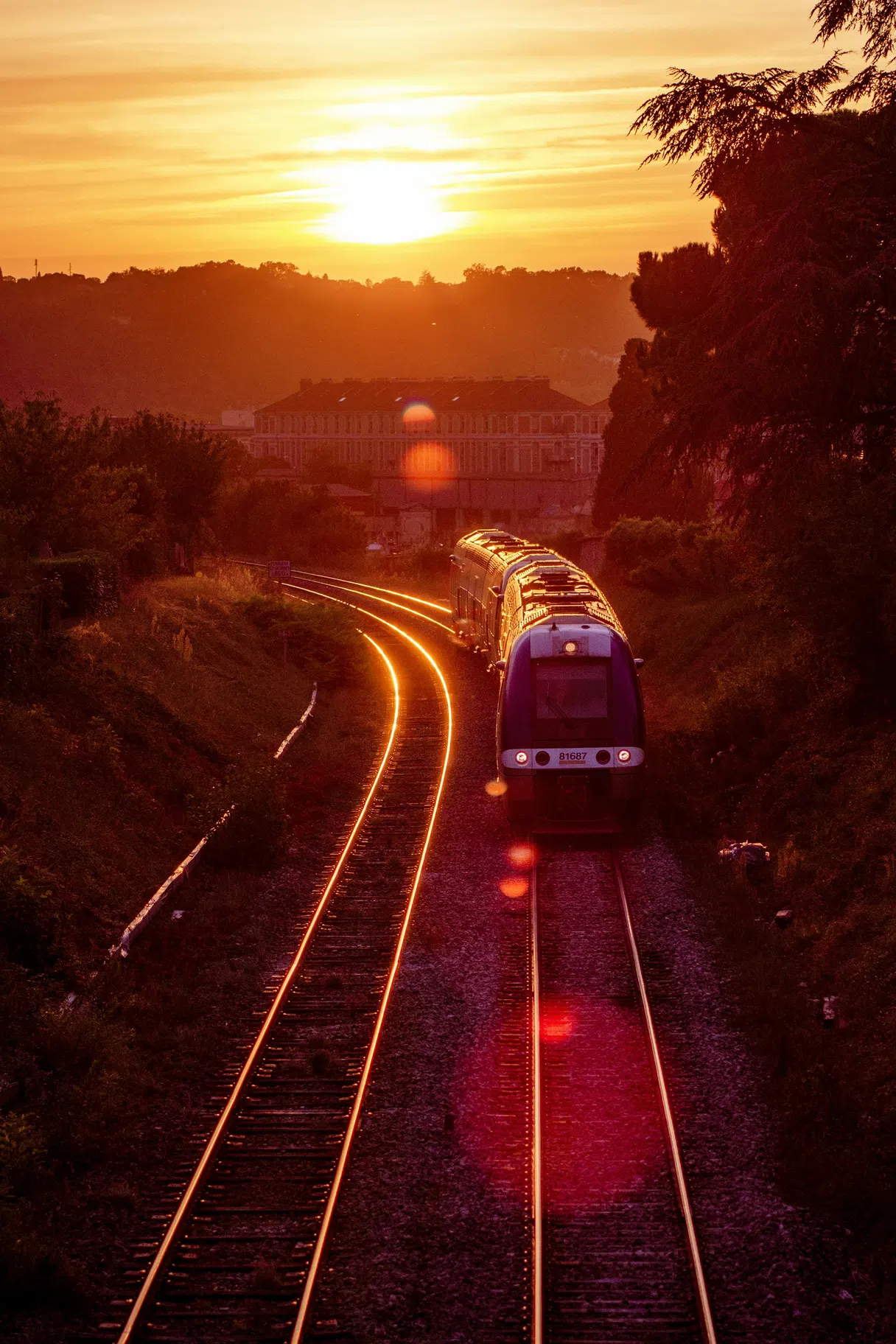 Regional TER train at sunset
