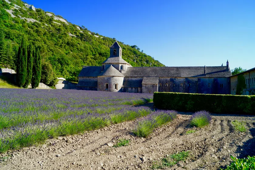 Sénanque Abbey