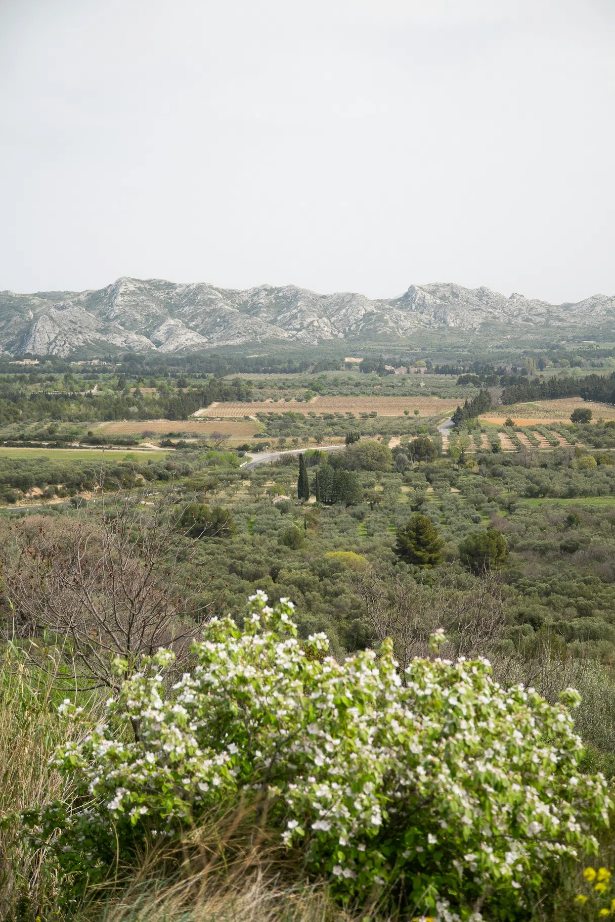Village in the Alpilles, Provence