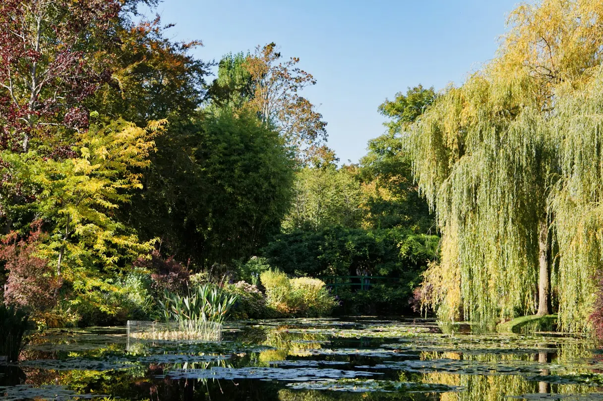 Monet's water lily pond in the gardens at Giverny