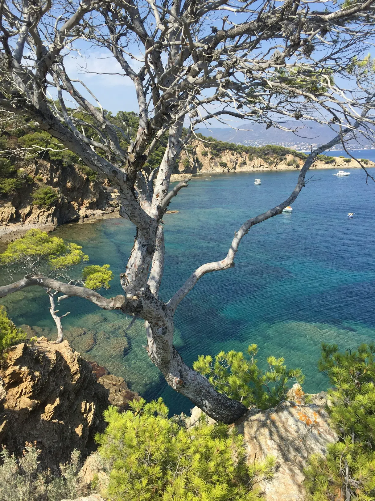 Turquoise water and a rocky cove near Bormes-les-Mimosas