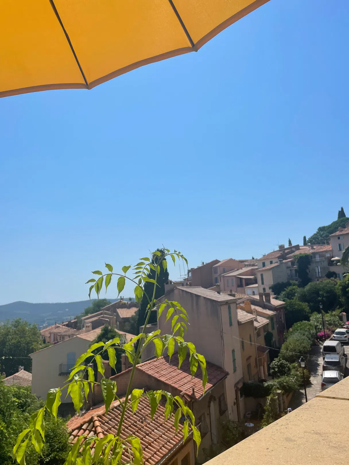 Artistic photo of Bormes-les-Mimosas