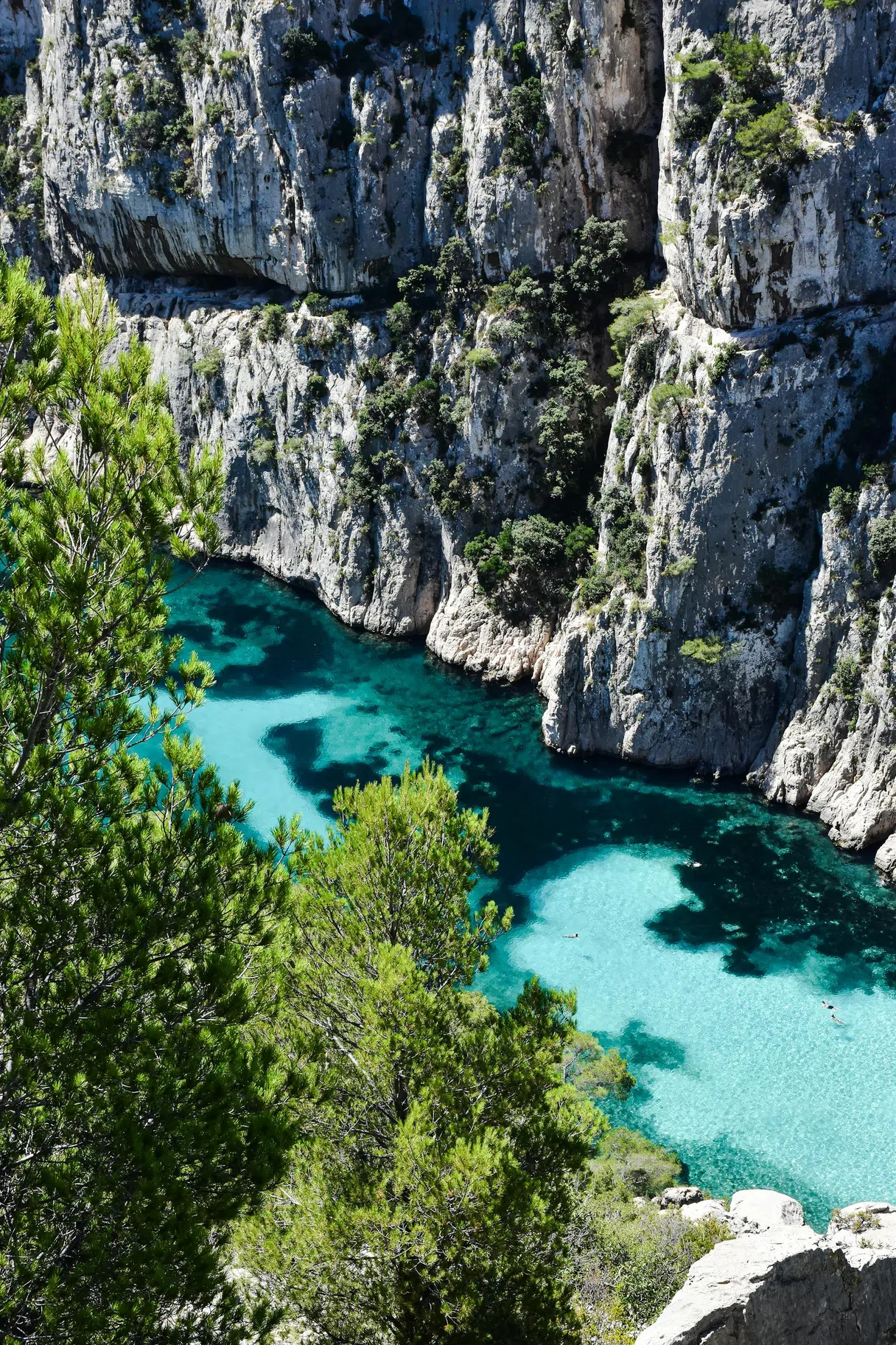 A view down into Calanque d'En-Vau from the hillside above