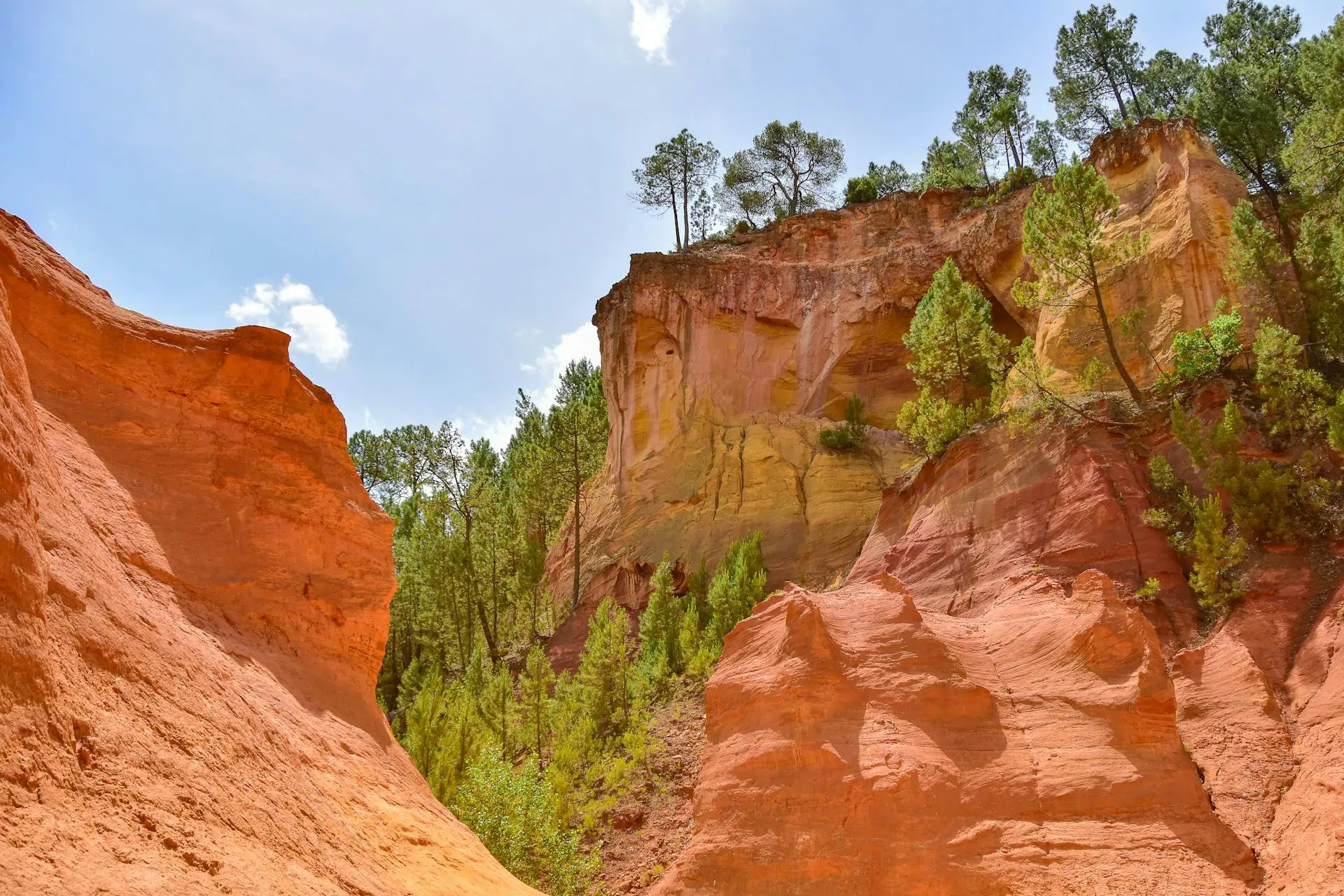 Ochre cliffs and pine trees in the Colorado Provençal at Rustrel