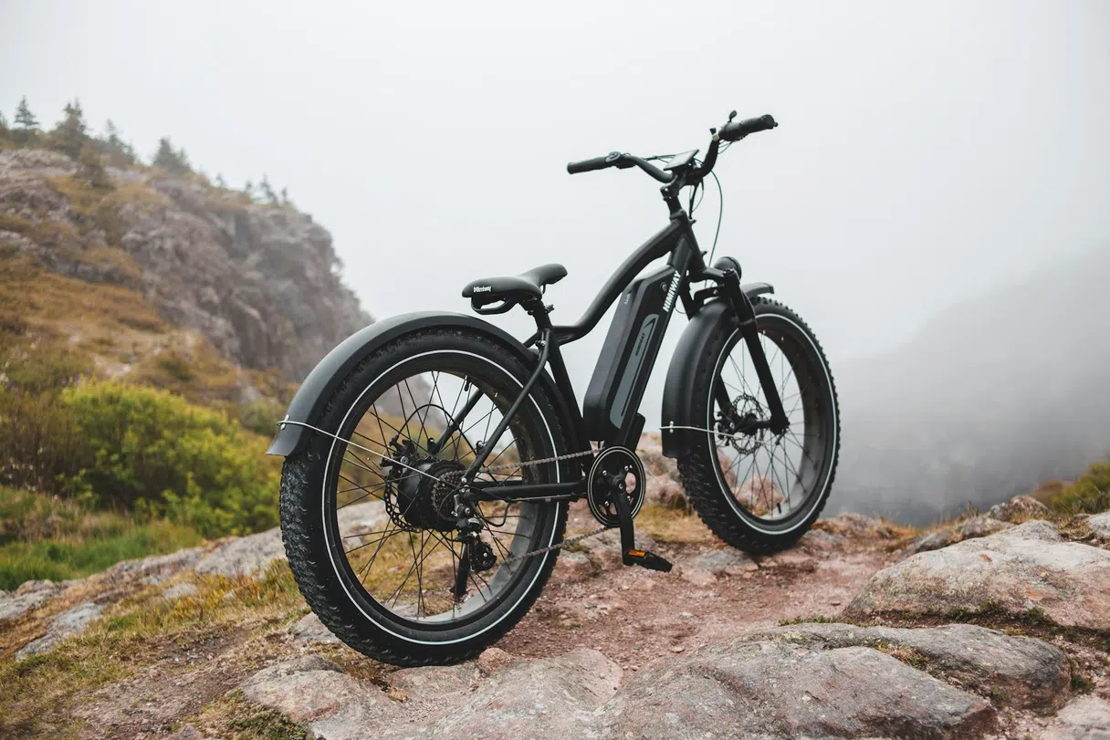 Electric bike (VAE) in France: perfect for hilly routes