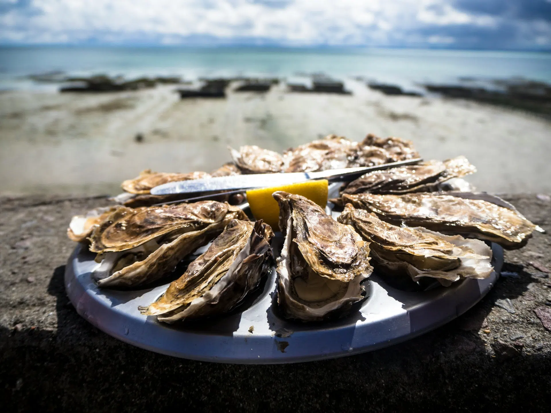 Oyster tasting at Port de la Houle in Cancale (Brittany)