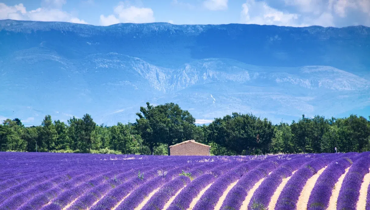 Landscape in France, inspiration for a tailor-made itinerary