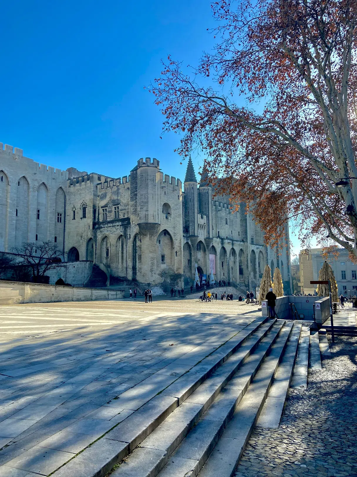 The Palais des Papes rising above Avignon