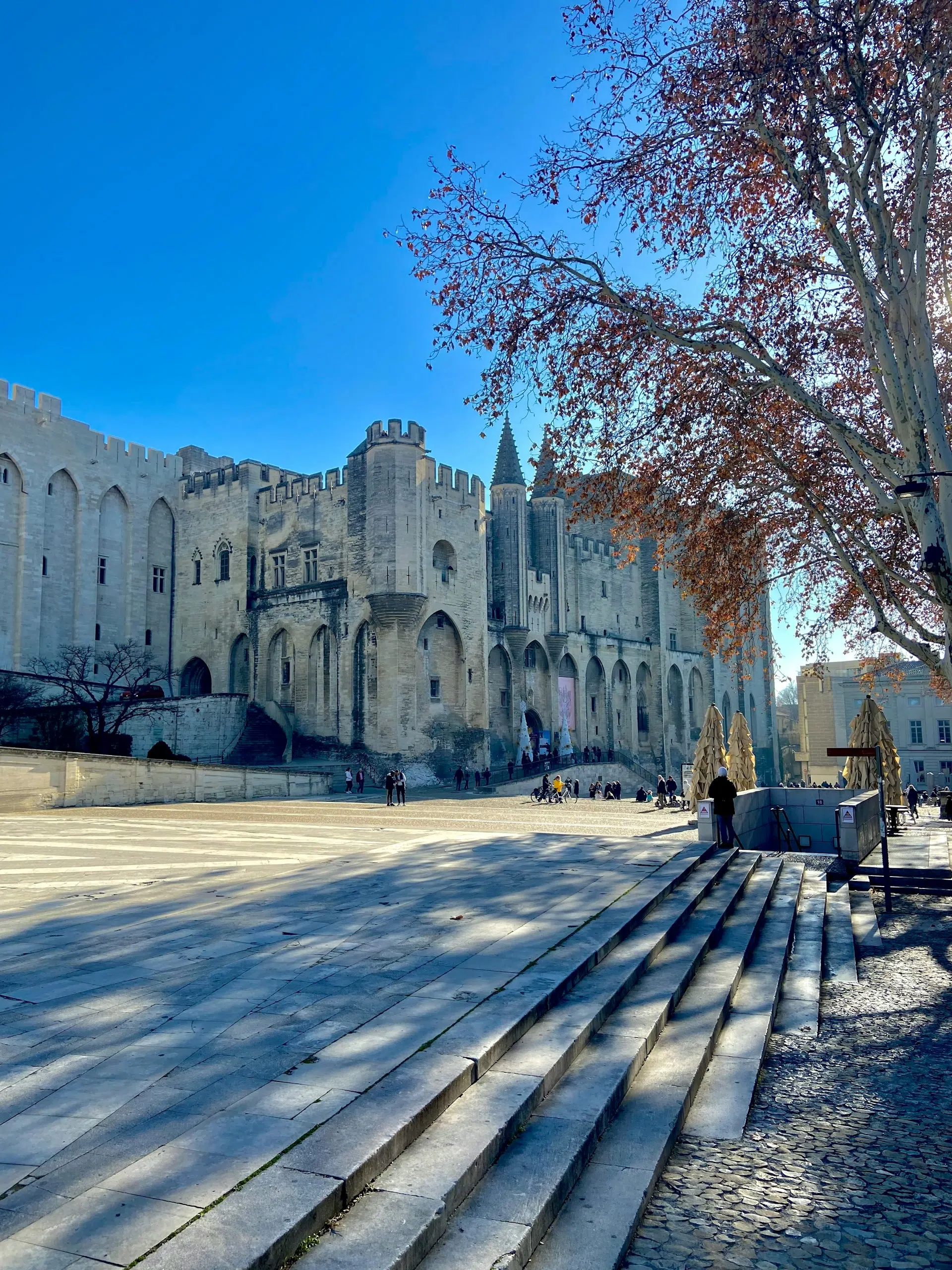 Facade of the Palais des Papes in Avignon