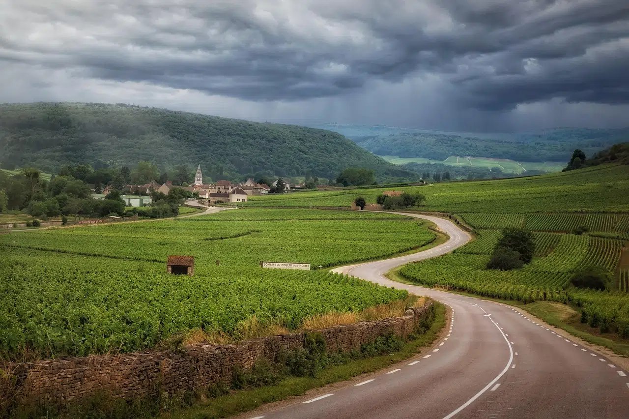 Alsace Wine Route winding through the vineyards
