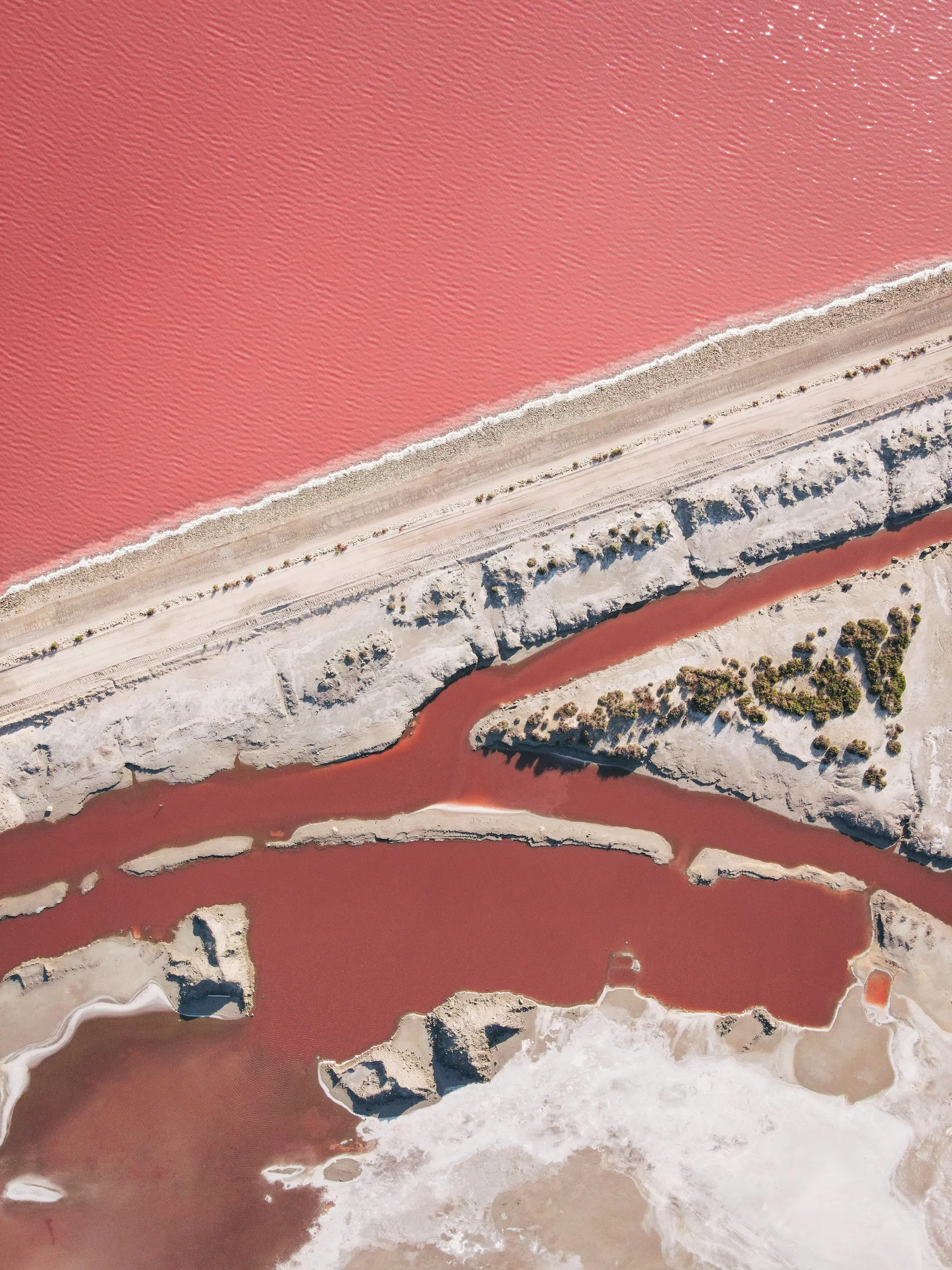 Salt marshes with pink hues near Aigues-Mortes